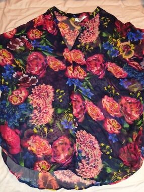 Pia Rossini Floral V-Neck Sheer Blouse